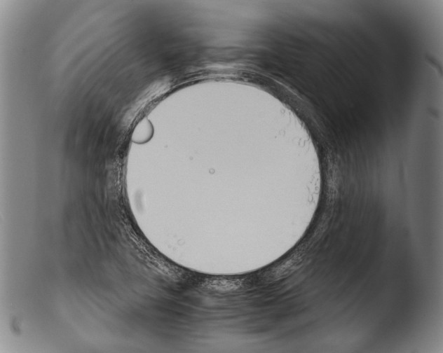 X0000103941411200810311515