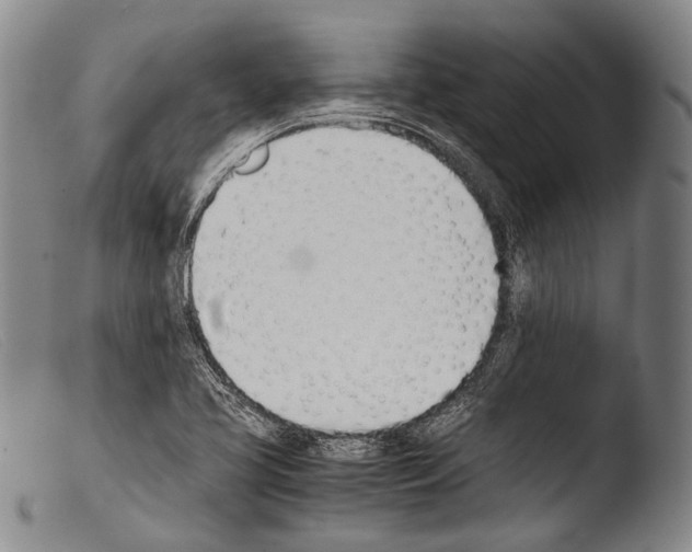 X0000103941413200810311515