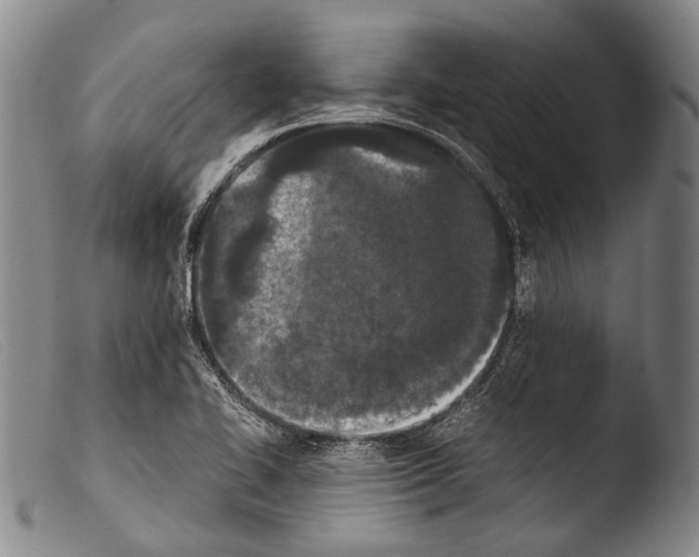 X0000103941414200810311515