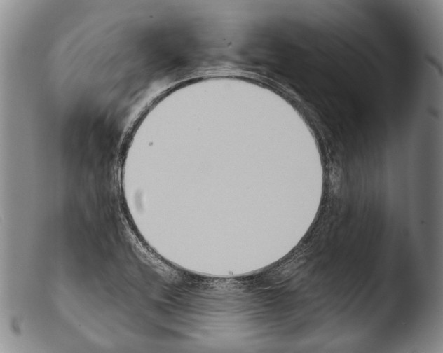 X0000103941416200810311515