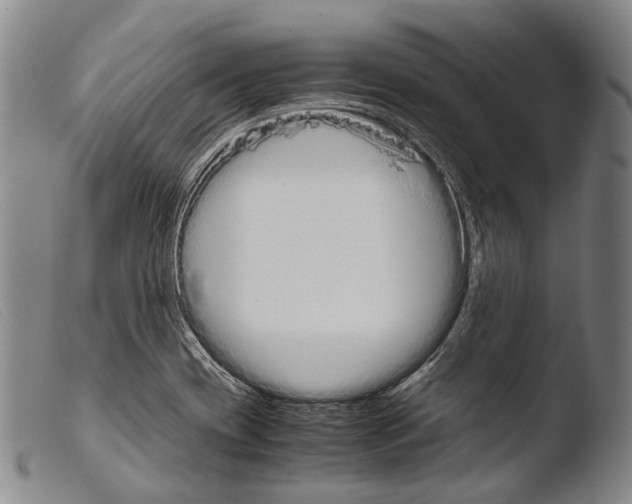 X0000103941417200810311515