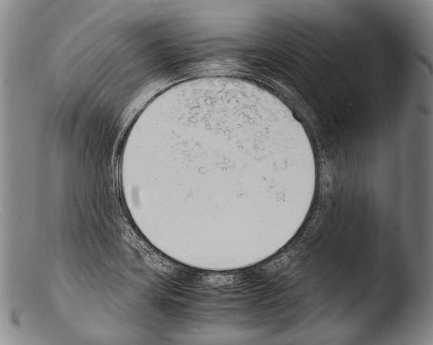 X0000103941419200810311515