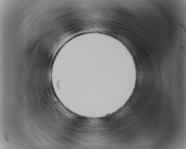 X0000103941420200810311515