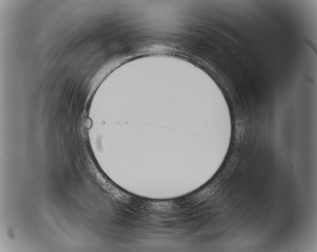 X0000103941421200810311515