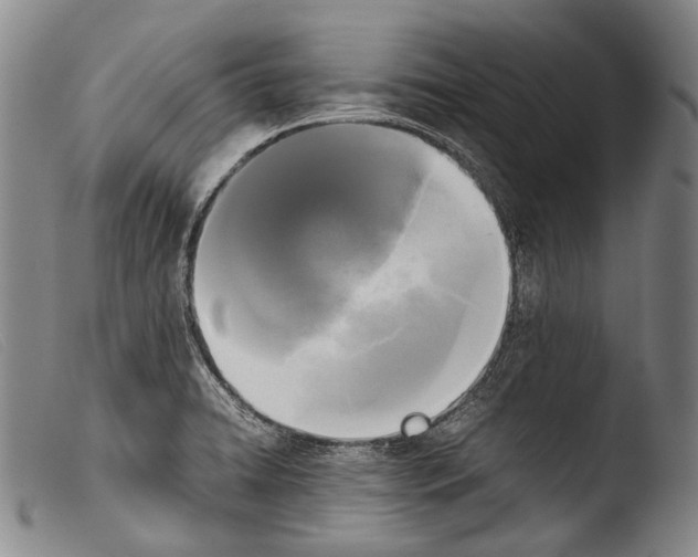 X0000103941422200810311515