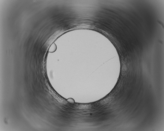 X0000103941423200810311515