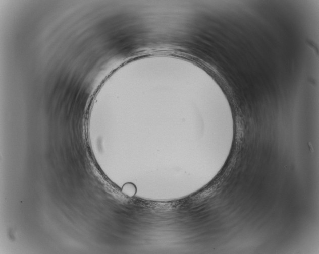 X0000103941424200810311515