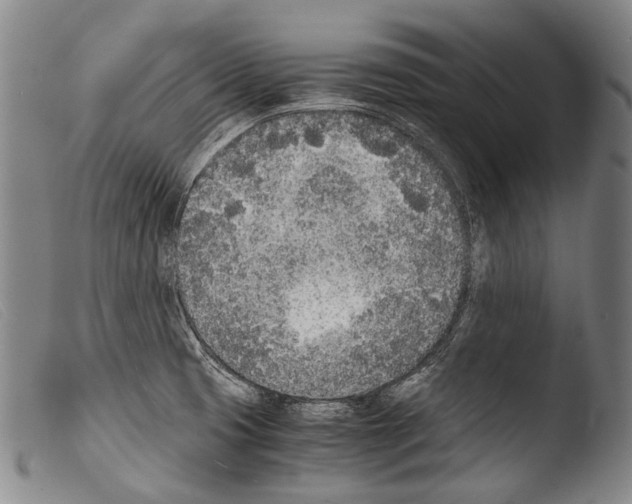 X0000103941425200810311515