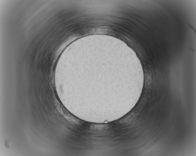 X0000103941427200810311515