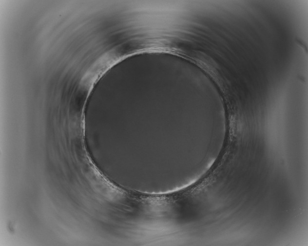 X0000103941428200810311515