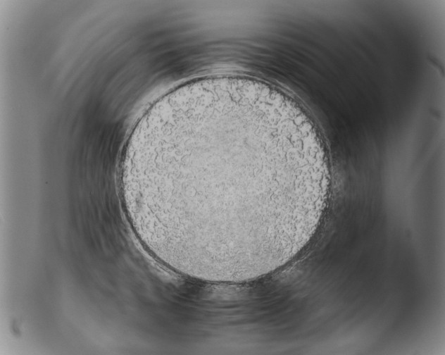 X0000103941429200810311515