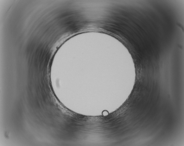 X0000103941430200810311515