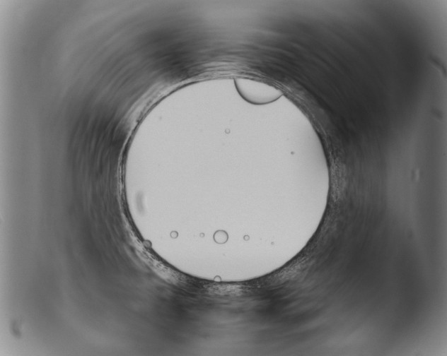 X0000103941431200810311515