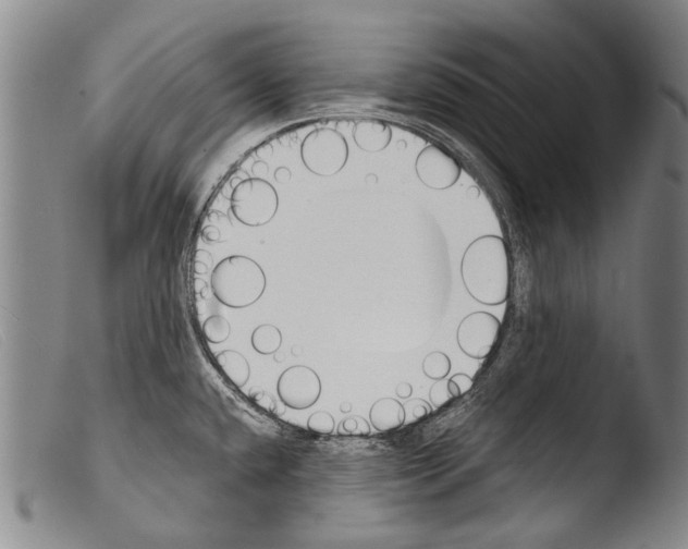 X0000103941432200810311515