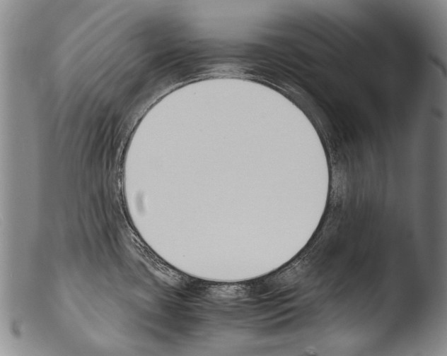 X0000103941435200810311515