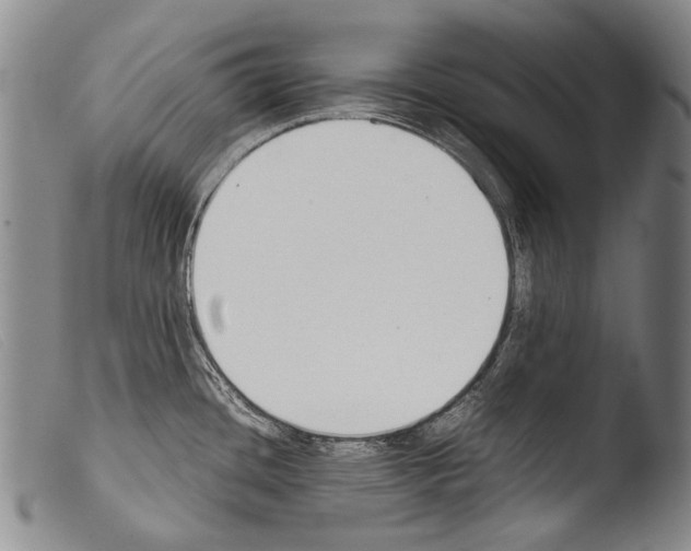 X0000103941436200810311515