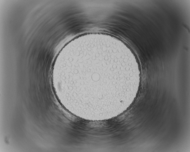 X0000103941437200810311515