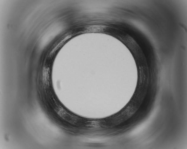 X0000103941438200810311515