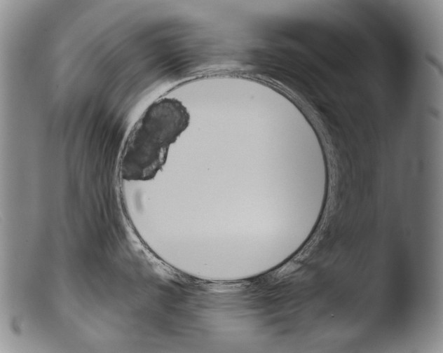 X0000103941440200810311515