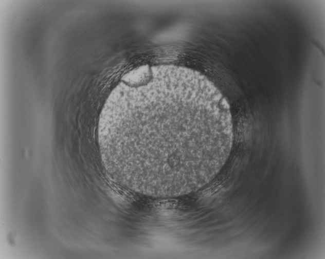 X0000103941441200810311514