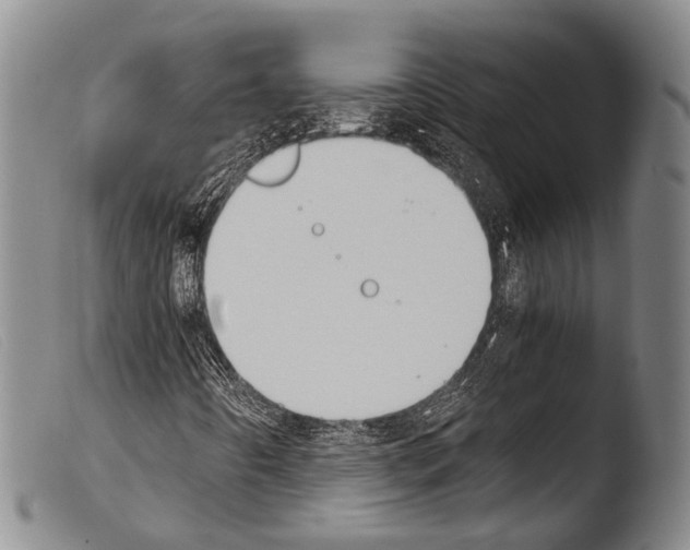 X0000103941442200810311514