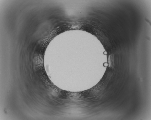 X0000103941443200810311514