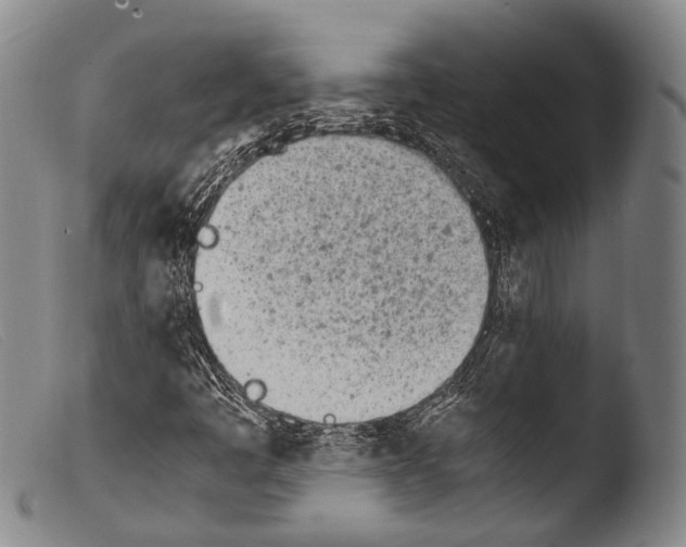 X0000103941445200810311514