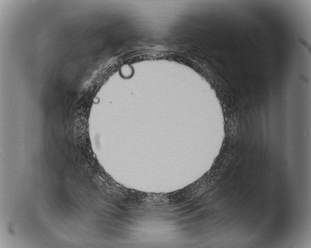 X0000103941447200810311514