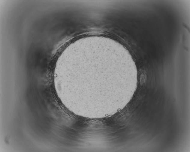 X0000103941448200810311514