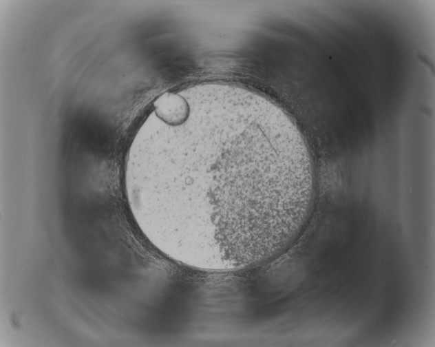 X0000103941449200810311514