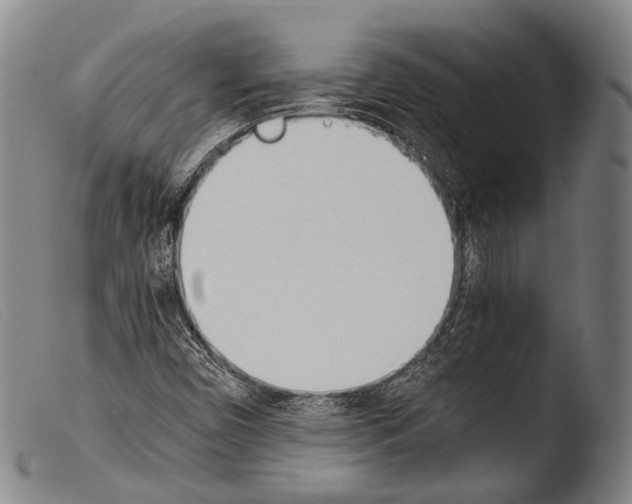 X0000103941450200810311514