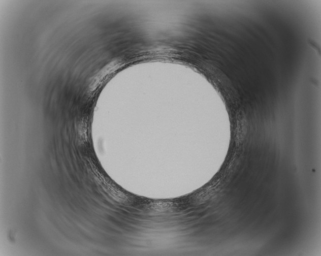 X0000103941451200810311514