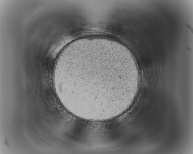 X0000103941453200810311514