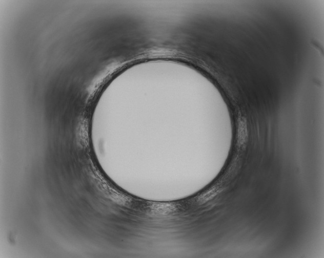 X0000103941454200810311514