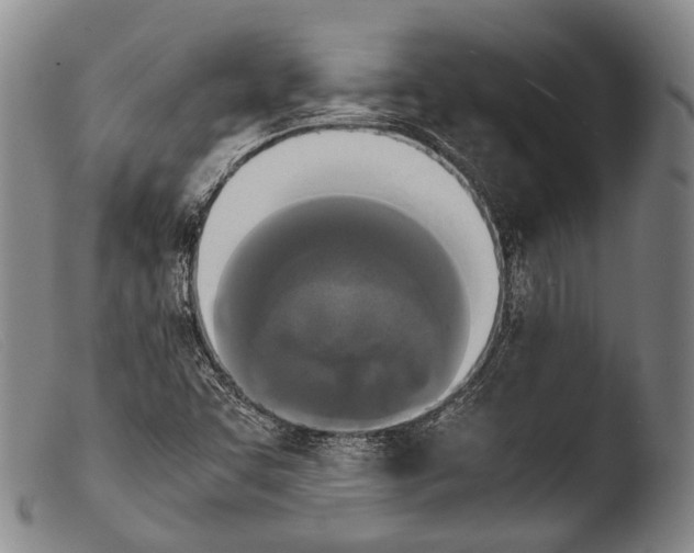 X0000103941455200810311514