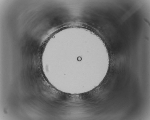 X0000103941456200810311514