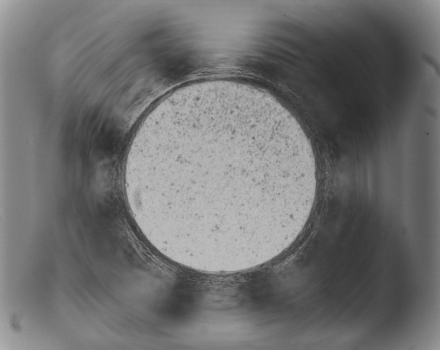 X0000103941457200810311514