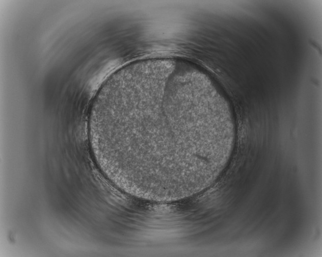 X0000103941459200810311514