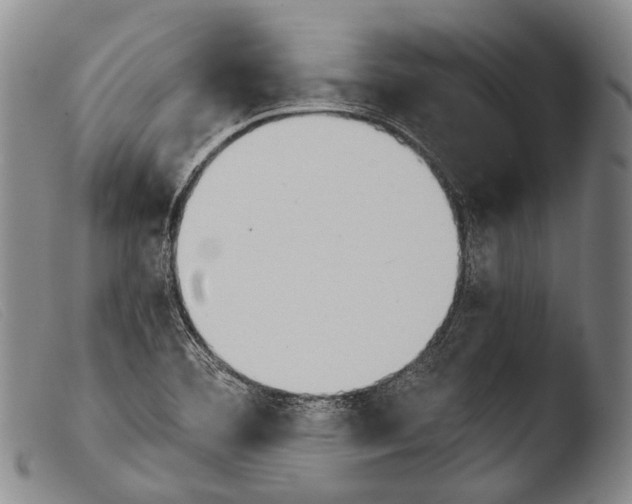 X0000103941460200810311514