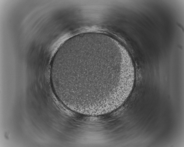 X0000103941463200810311514