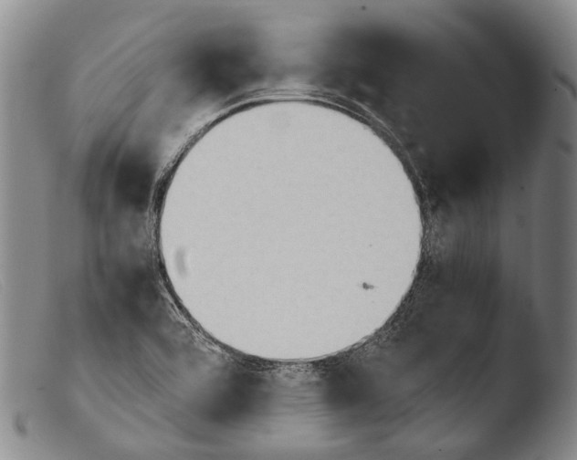 X0000103941464200810311514