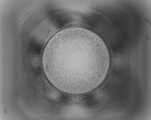 X0000103941465200810311514