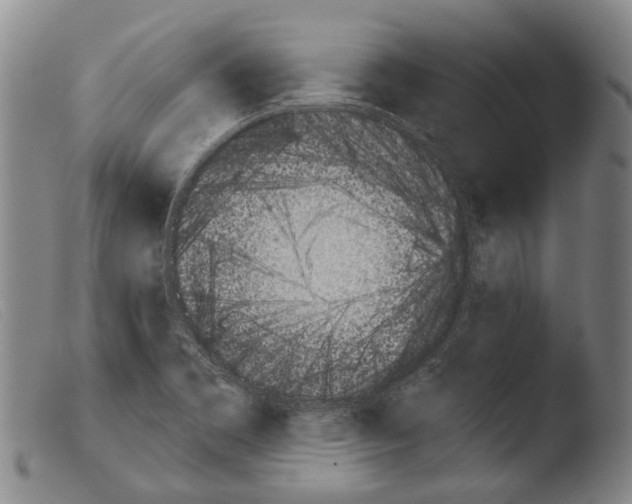 X0000103941469200810311514