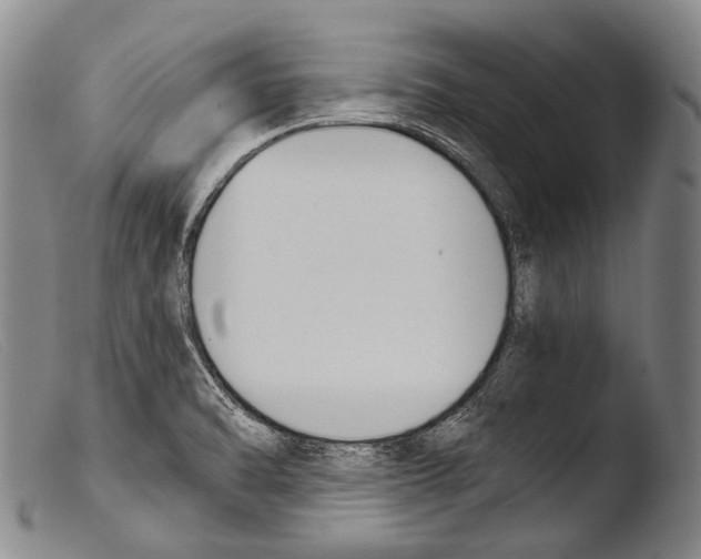 X0000103941470200810311514