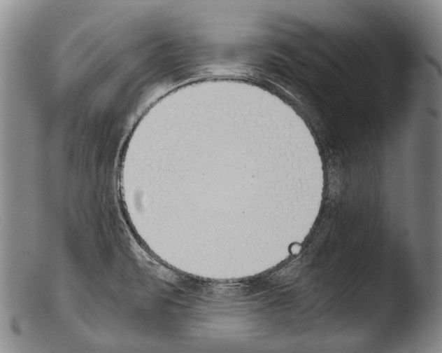 X0000103941471200810311514