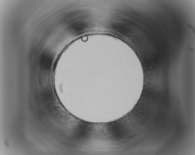 X0000103941472200810311514