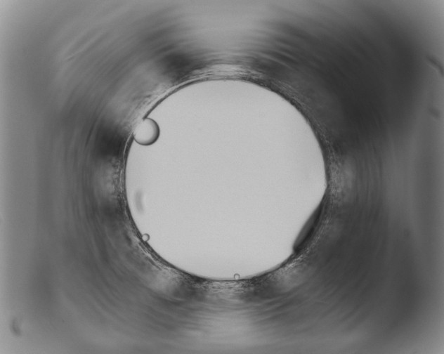 X0000103941473200810311514