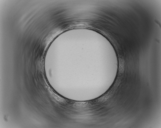 X0000103941474200810311514