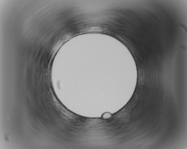 X0000103941475200810311514