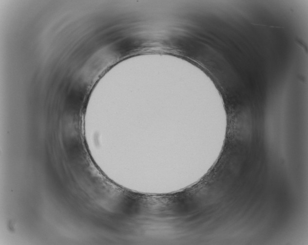 X0000103941476200810311514